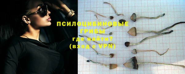 тгк Богородск