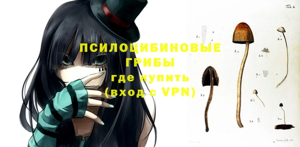 Альфа ПВП Богородицк