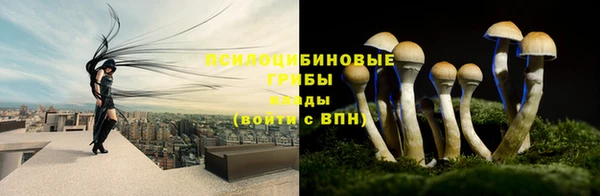 гидра Беломорск