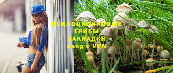 Альфа ПВП Богородицк