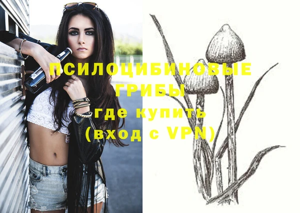 Альфа ПВП Богородицк