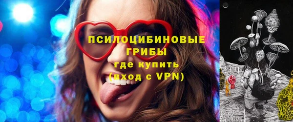 тгк Богородск